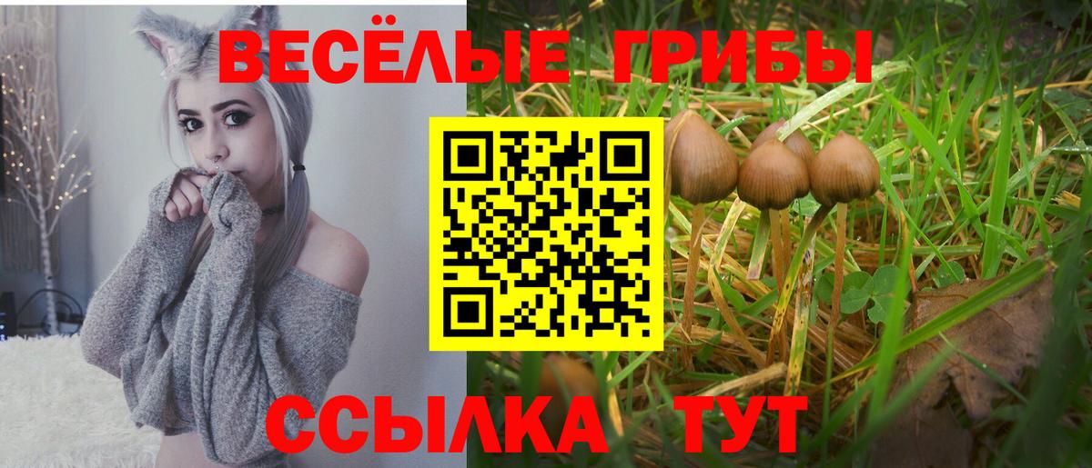 Алексеевка  Псилоцибиновые грибы GOLDEN TEACHER  Вход с VPN  Псилоцибиновые грибы MAGIC MUSHROOMS 